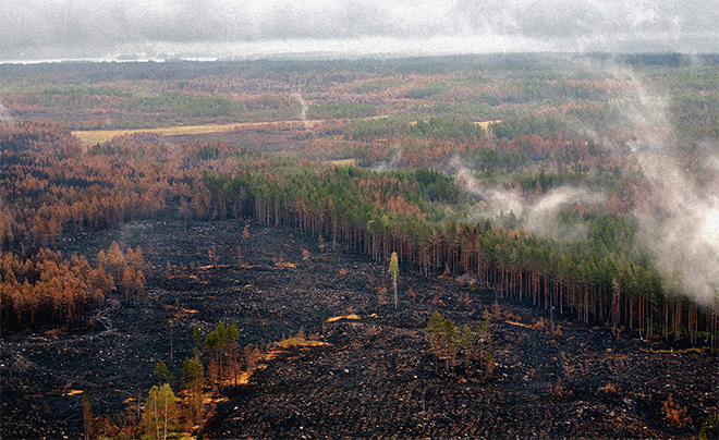 Området som brandskadas motsvarar cirka 25 000 fotbollsplaner. Foto: Kjell Gustavsson Området som brandskadas motsvarar cirka 25 000 fotbollsplaner. Foto: Kjell Gustavsson